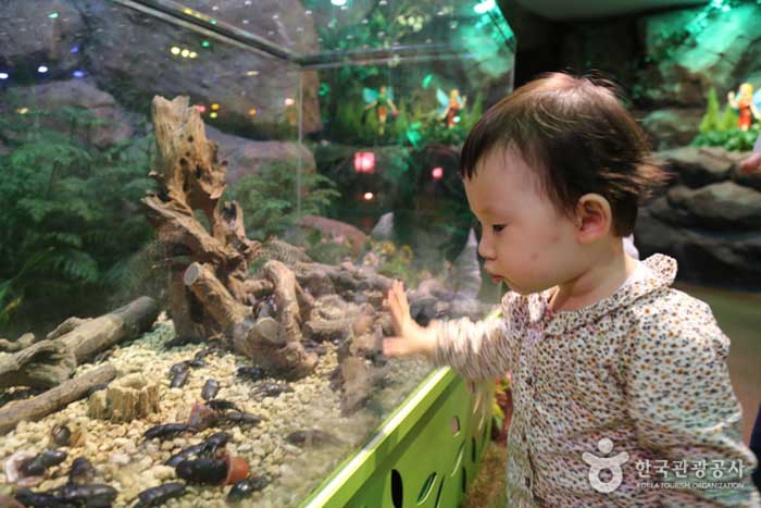 ファンタジーの森で昆虫を見ている子供 - 韓国ソウル市松坡区 (https://codecorea.github.io)