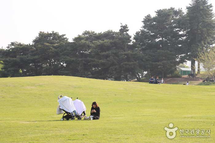 Mom resting on a hill with a tree alone - Songpa-gu, Seoul, Korea (https://codecorea.github.io)