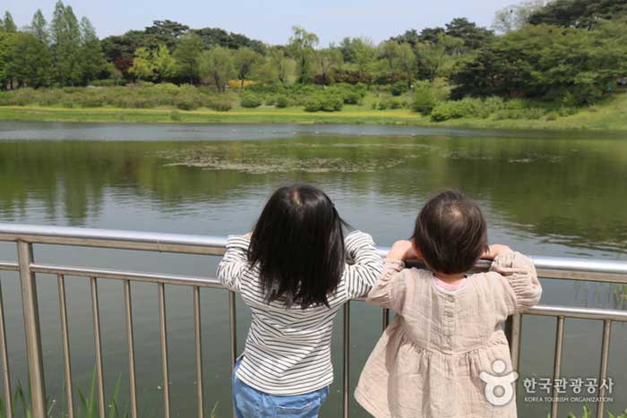 Enfants regardant Mongchon Moat - Songpa-gu, Séoul, Corée (https://codecorea.github.io)
