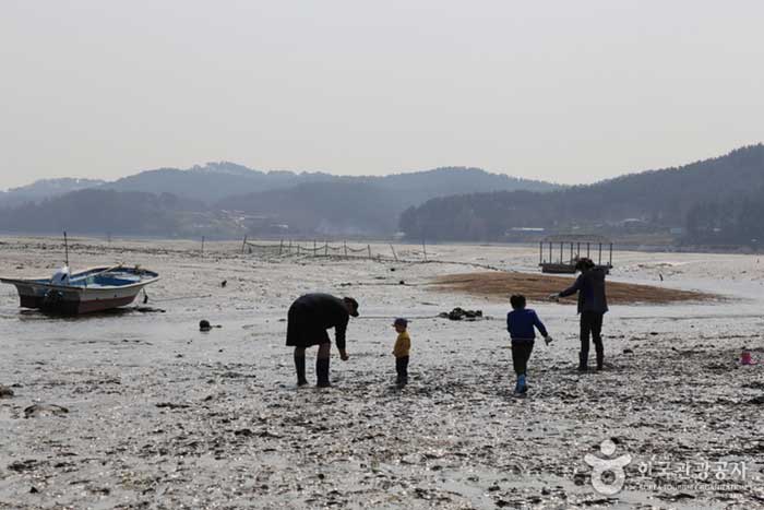 Un visiteur de l'expérience de l'unité familiale qui a visité le village de Jung-ri le week-end - Seosan-si, Chungcheongnam-do, Corée (https://codecorea.github.io)