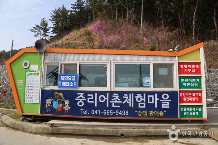 Bureau du village Jungliao Village Experience - Seosan-si, Chungcheongnam-do, Corée (https://codecorea.github.io)