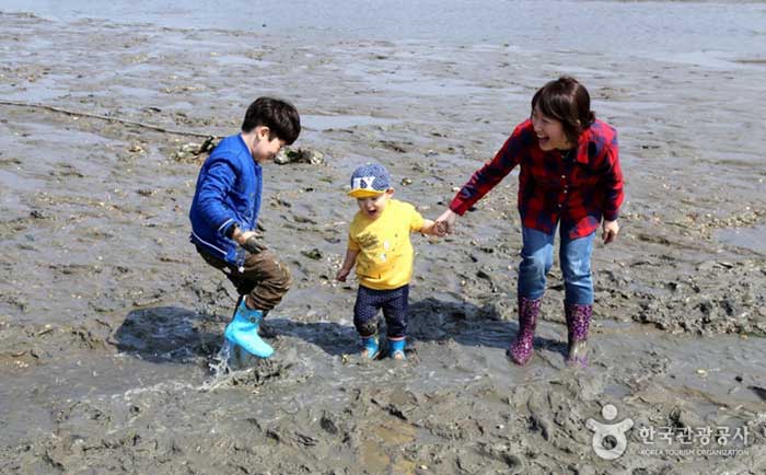 Les enfants qui sentent la boue plate et sourient - Seosan-si, Chungcheongnam-do, Corée (https://codecorea.github.io)