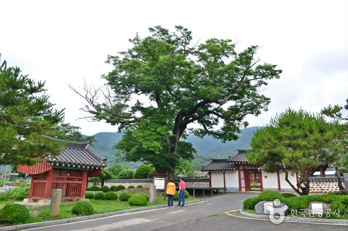 Hyojebi in honor of his brother's filial piety and friendship - Chungnam Budget District, South Korea (https://codecorea.github.io)