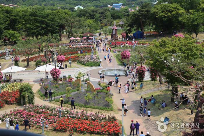 Jardín temático del Gran Parque de Seúl Jardín de rosas - Partido de Corea (https://codecorea.github.io)