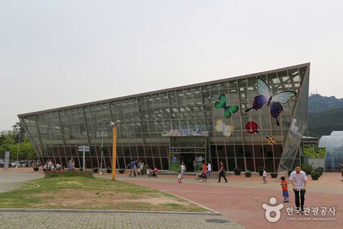 Salle d'écologie des insectes (Musée des sciences de Gwacheon) - Match de Corée (https://codecorea.github.io)
