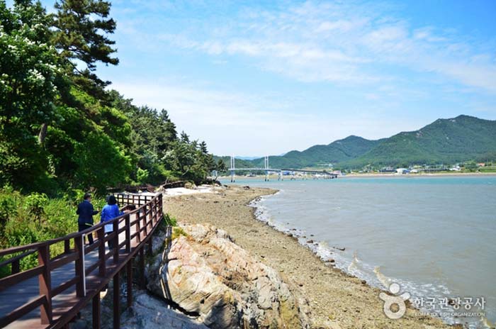 Il y a une route de pont, donc il est bon de marcher - Gangjin-gun, Jeollanam-do, Corée (https://codecorea.github.io)