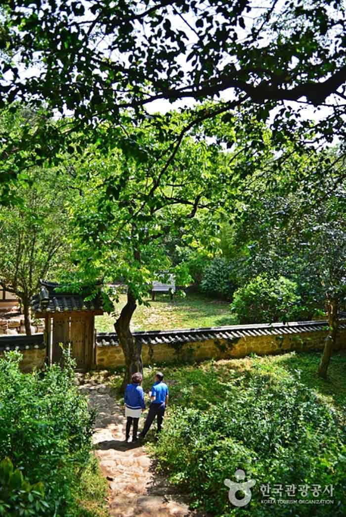 Jardin Baekdong qui préserve la beauté de l'annexe traditionnelle - Gangjin-gun, Jeollanam-do, Corée (https://codecorea.github.io)