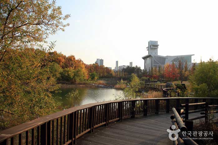 Parque Hwarang, bellamente coloreado en otoño - Seongnam-si, Gyeonggi-do, Corea (https://codecorea.github.io)