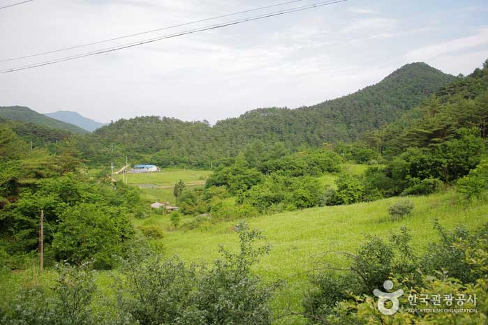 Komaru, the town of Hwajeon, is located in the Karst Basin. - Pyeongchang-gun, Gangwon-do, Korea (https://codecorea.github.io)