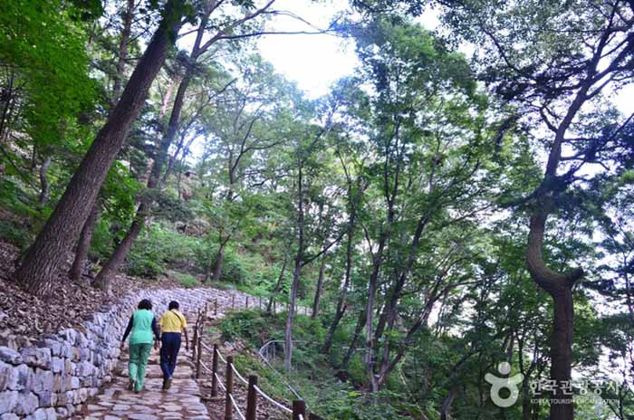 Escaleras a la entrada del templo de Sujongsa - Yangpyeong-gun, Gyeonggi-do, Corea (https://codecorea.github.io)