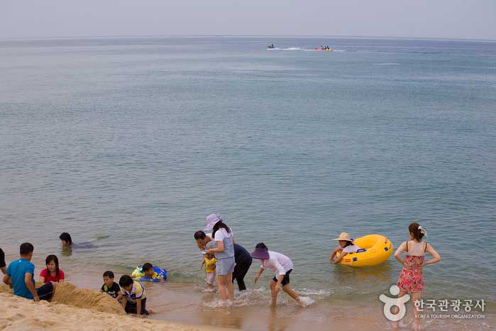 Paysage de plage de Jikyung-ri - contre... (https://codecorea.github.io)