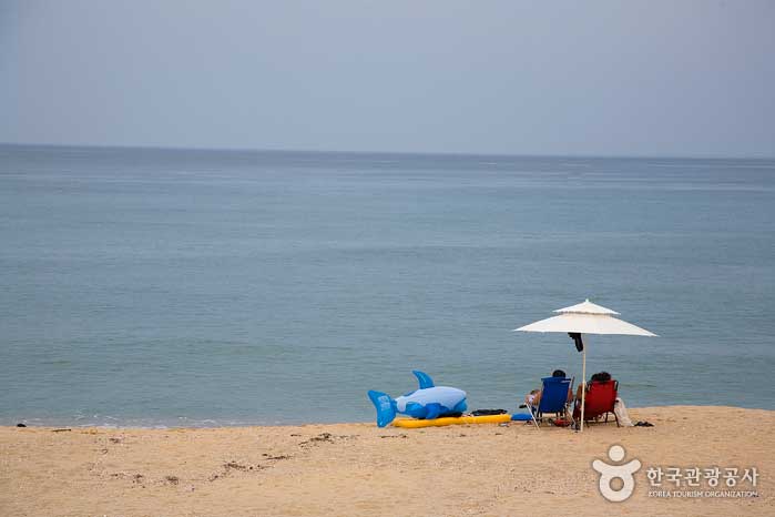 Paisaje de la playa de Wonpo - versus... (https://codecorea.github.io)