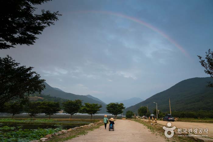 Rainbow at the entrance of Silsangsa Temple - Namwon-si, Jeollabuk-do, Korea (https://codecorea.github.io)