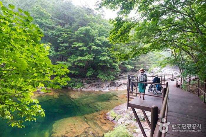 Sinseongil Obstacle Trail View - Namwon-si, Jeollabuk-do, Korea (https://codecorea.github.io)