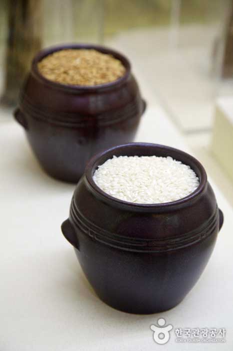 Unification rice developed by Dr. Huh Moon Hoe - Chungju, Chungbuk, South Korea (https://codecorea.github.io)
