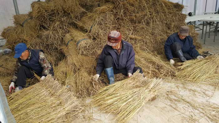Village seniors weaving straw grass on a slide <Photo courtesy of dew village> - Naju, Jeonnam, Korea (https://codecorea.github.io)