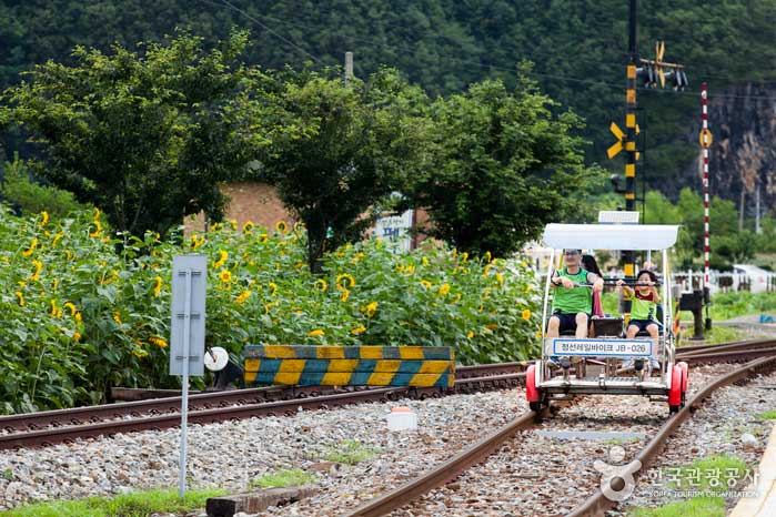 Railbike läuft auf den Schienen mit zwei Pedalen - Jeongseon-gun, Gangwon, Südkorea (https://codecorea.github.io)