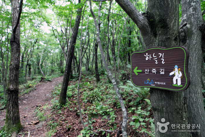 Skyway from Uncle Altitude to the summit - Jeongseon-gun, Gangwon, South Korea (https://codecorea.github.io)