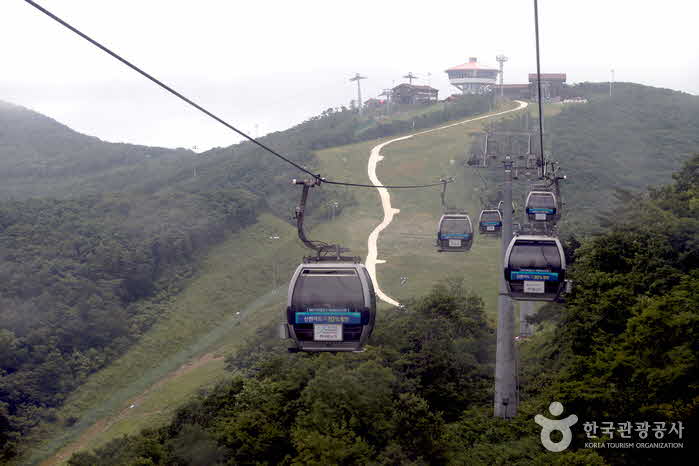 Gondole au sommet de la montagne - Jeongseon-gun, Gangwon, Corée du Sud (https://codecorea.github.io)