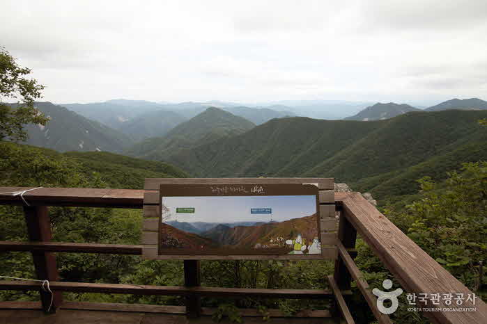 Высота Untan на больших высотах более 1100 метров над уровнем моря - Jeongseon-gun, Канвондо, Южная Корея (https://codecorea.github.io)