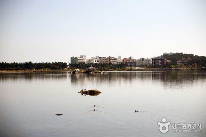 Lac Gyeongpo, l'un des meilleurs de Kanto - Gangneung, Corée du Sud (https://codecorea.github.io)