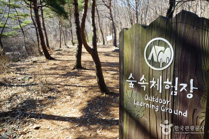 Центр лесного опыта в лесу отдыха - Seosan, Chungnam, Южная Корея (https://codecorea.github.io)