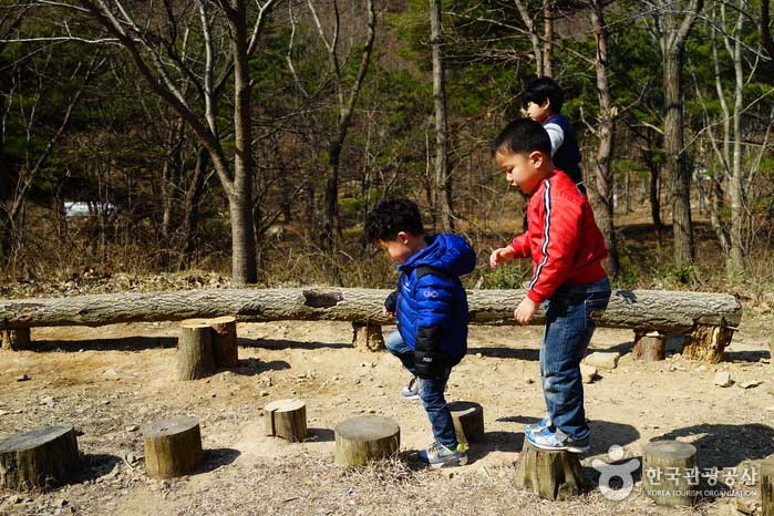Дети изучают природу в природном лесу Йонхён - Seosan, Chungnam, Южная Корея (https://codecorea.github.io)