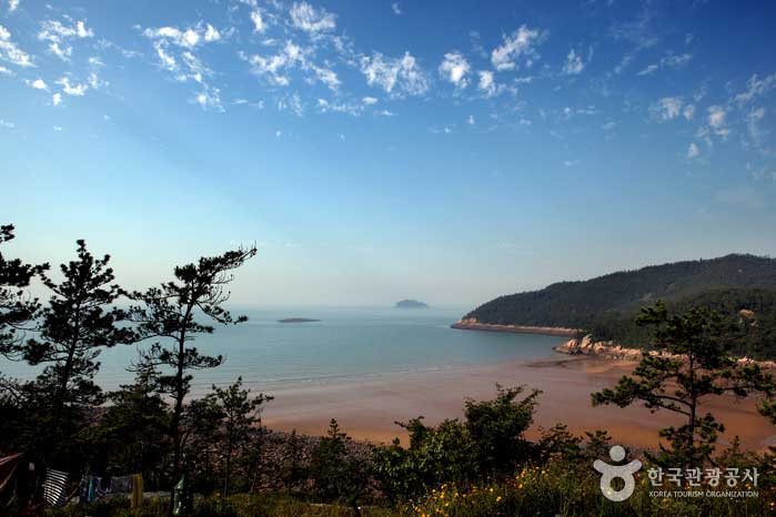 Overlooking Mongdol Beach is a camping beach - Sinan-gun, Jeonnam, Korea (https://codecorea.github.io)