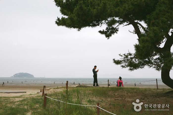 Cheongpodae, wo Sie den ruhigen Strand genießen können - Taean-gun, Südkorea (https://codecorea.github.io)