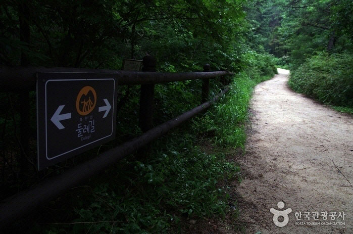 Wuyiling Roadは肩で歩くことができます - 韓国ソウル市江北区 (https://codecorea.github.io)