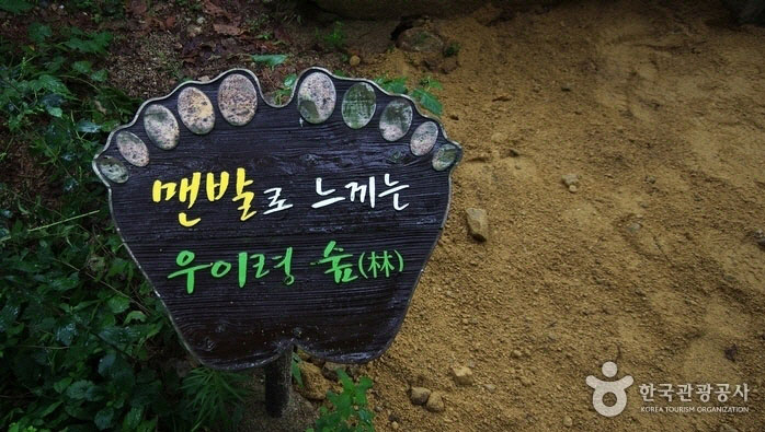 Небольшой знак для ходьбы босиком - Гангбук-гу, Сеул, Корея (https://codecorea.github.io)