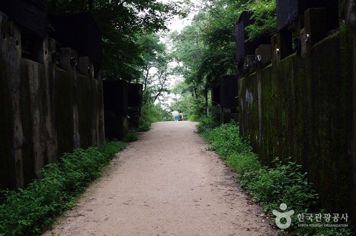 Gangbuk-gu, Seoul, Korea - Happy forest path for the whole family to walk together