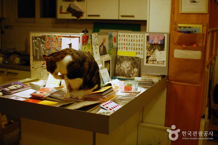 スタンドの上に座ってあなたの心のマスコット猫、モロ、 - ソウル麻浦区 (https://codecorea.github.io)