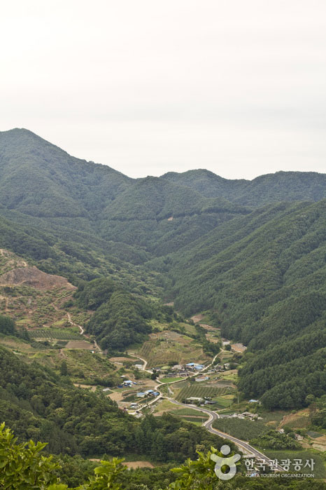 Деревня видна со смотровой площадки - Чунджу, Чунгбук, Южная Корея (https://codecorea.github.io)