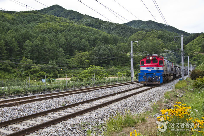 Zug vorbei am Bahnübergang am Vergnügungspark - Chungju, Chungbuk, Südkorea (https://codecorea.github.io)