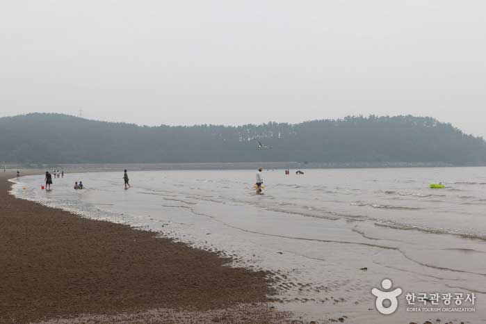 Пляж Chunjangdae, где вы можете насладиться купанием - Seocheon-gun, Чунгнам, Корея (https://codecorea.github.io)