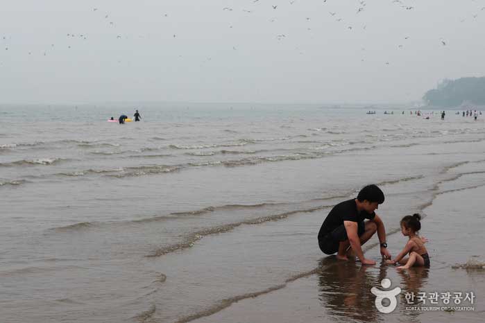 Пляж Chunjangdae, где вы можете насладиться приливно-отливным опытом - Seocheon-gun, Чунгнам, Корея (https://codecorea.github.io)