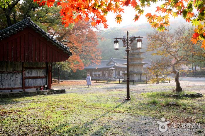 На территории храма боевых искусств справа - Buyeo County, Chungnam, Южная Корея (https://codecorea.github.io)