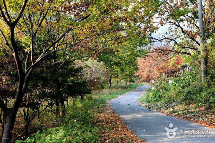 1,2 km vom Mouyangsa-Tempel nach Taejoam - Buyeo County, Chungnam, Südkorea (https://codecorea.github.io)