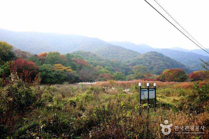 Old martial arts site - Buyeo County, Chungnam, South Korea (https://codecorea.github.io)
