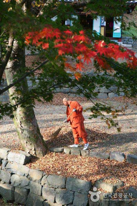 Ein Mönch fegt Blätter - Buyeo County, Chungnam, Südkorea (https://codecorea.github.io)