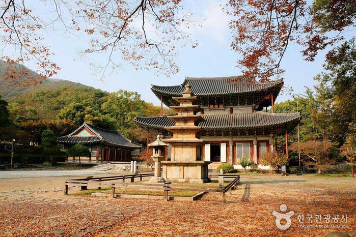 État et siège de la majestueuse guerre du paradis - Comté de Buyeo, Chungnam, Corée du Sud (https://codecorea.github.io)