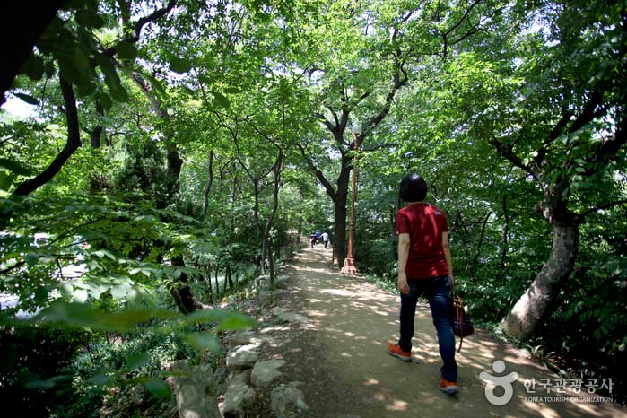 Bürger genießen grüne Spaziergänge entlang des Saturn Park - Jung-gu, Daegu, Südkorea (https://codecorea.github.io)