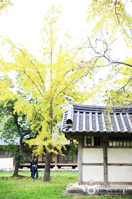 Casa de casas antiguas y árboles viejos son el mejor lugar para vivir - Boryeong, Corea del Sur (https://codecorea.github.io)