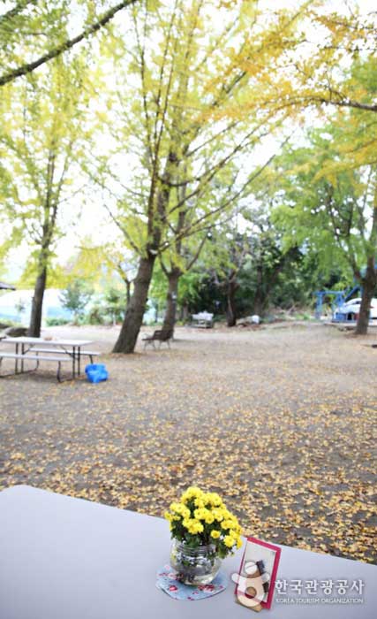 正村有機農場の庭は秋に快適な休憩場所を提供します - 保寧、韓国 (https://codecorea.github.io)