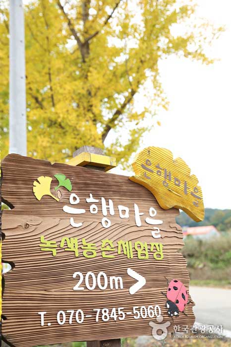 Closed Janghyeon Elementary School transformed into a green farming experience - Boryeong, South Korea (https://codecorea.github.io)