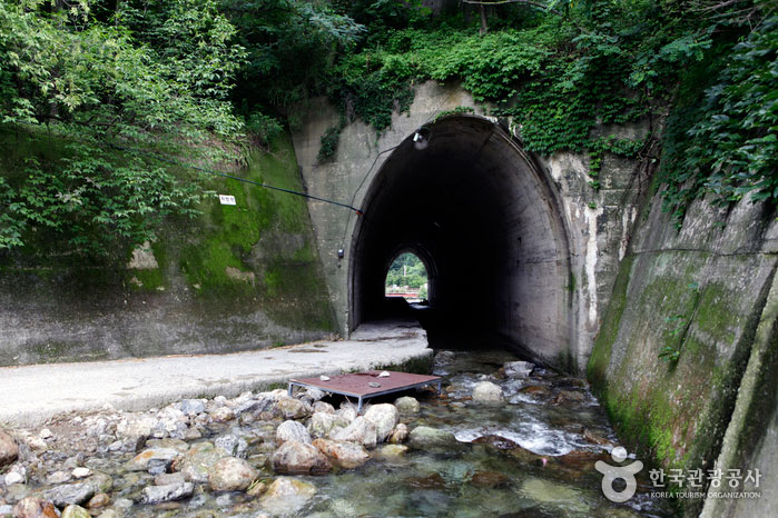 Un autre pont sous la gare de Sobaeksan - Yeongju, Gyeongbuk, Corée (https://codecorea.github.io)
