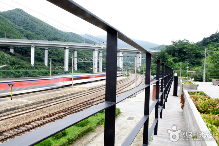 Summer Station and Iron Bridge Village Summer Trip, Sobaeksan Station and Cast Iron Dal Village - Yeongju, Gyeongbuk, Korea