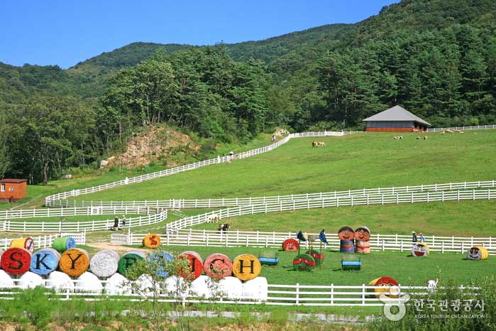 Daegwallyeong Sky Ranch rempli de lumière verte - Pyeongchang-gun, Gangwon, Corée du Sud (https://codecorea.github.io)