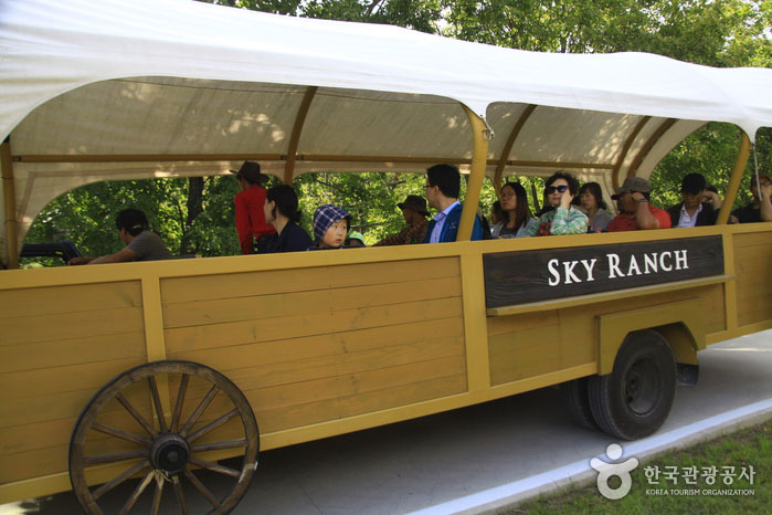 32-Sitzer-Traktorwagen, der die Sky Ranch umkreist - Pyeongchang-Pistole, Gangwon, Südkorea (https://codecorea.github.io)